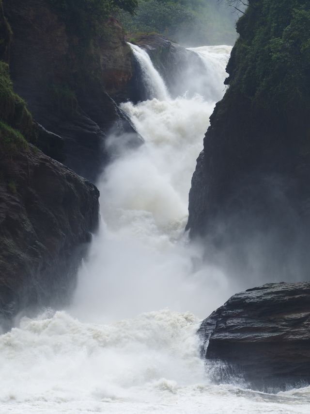 Murchison Falls Boat Cruise